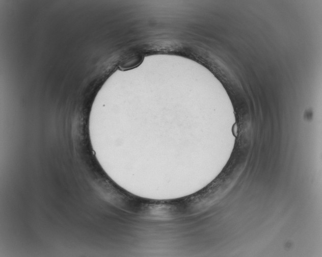 X0000116660268201001111256