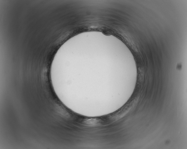X0000116660269201001111256