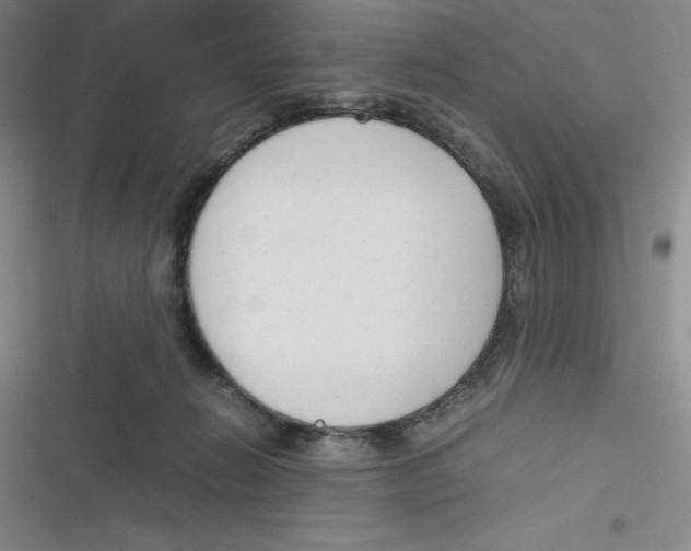 X0000116660270201001111256