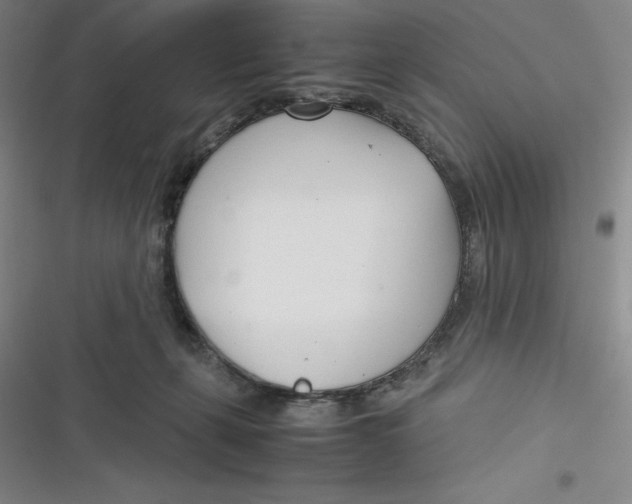 X0000116660271201001111256