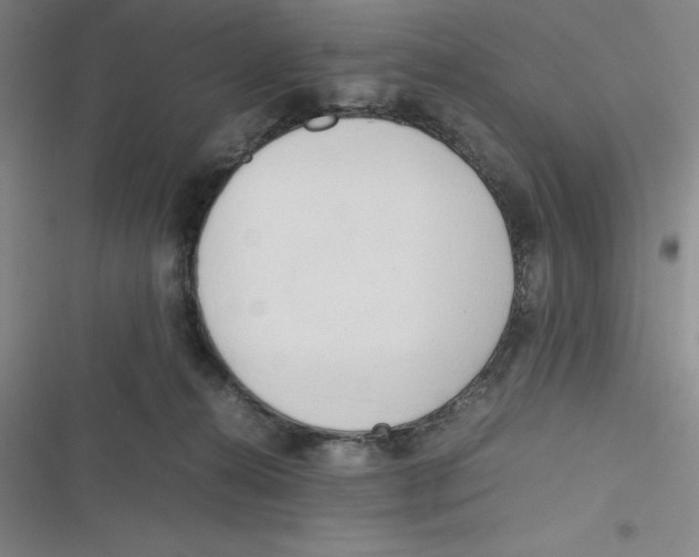 X0000116660272201001111256