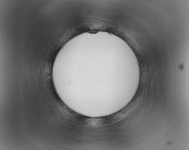 X0000116660273201001111256