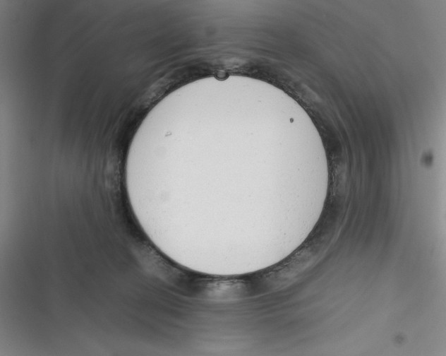 X0000116660274201001111256