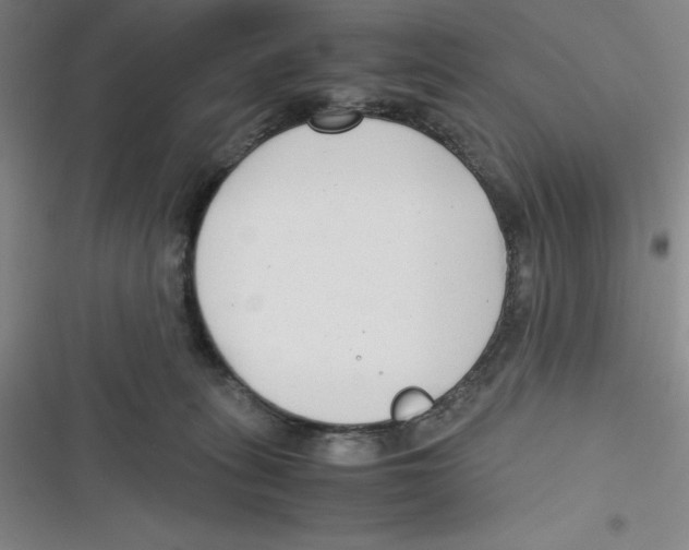 X0000116660275201001111256