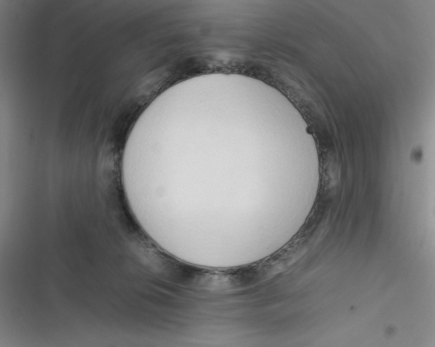 X0000116660276201001111256