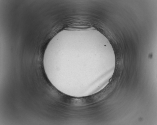X0000116660277201001111256
