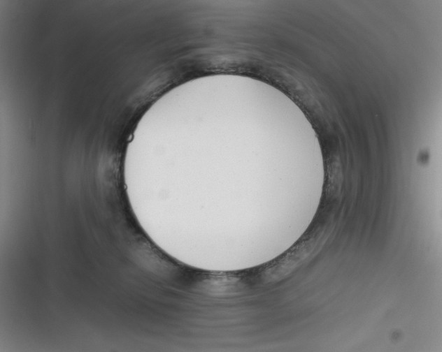 X0000116660278201001111256