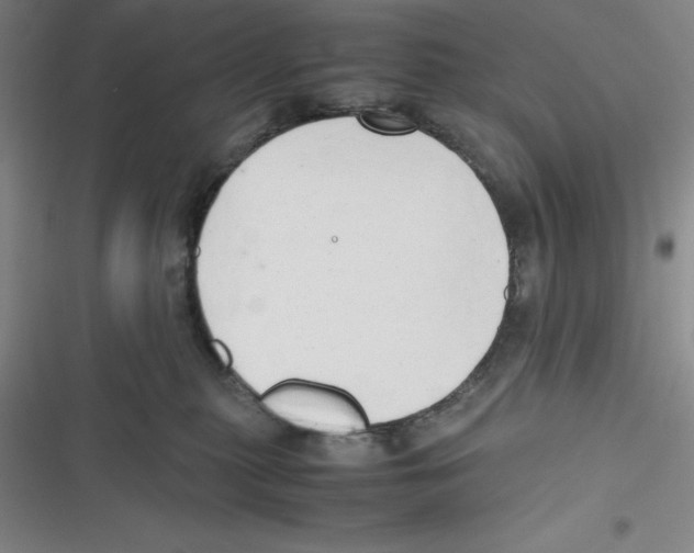 X0000116660279201001111256