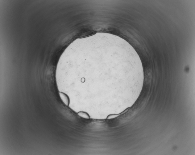 X0000116660280201001111256