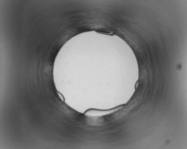 X0000116660281201001111256