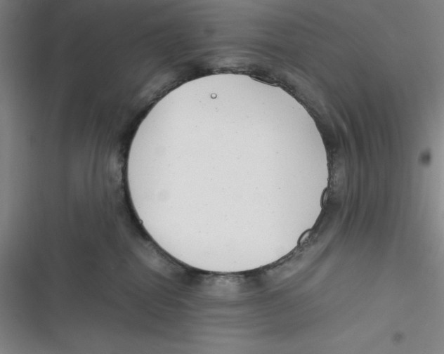 X0000116660282201001111256