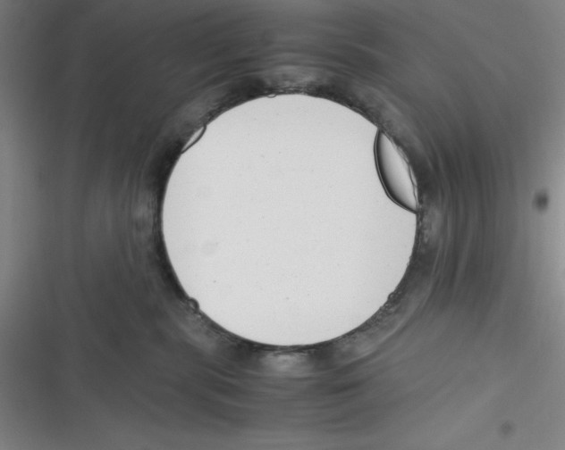 X0000116660283201001111256