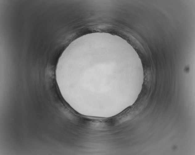 X0000116660284201001111256