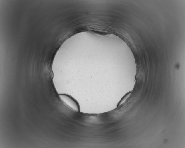 X0000116660285201001111256