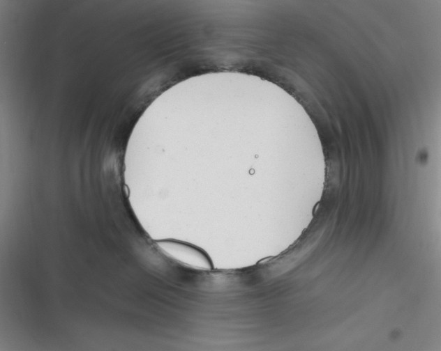 X0000116660286201001111256