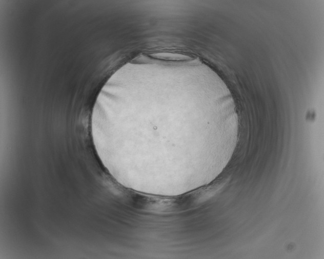 X0000116660288201001111256