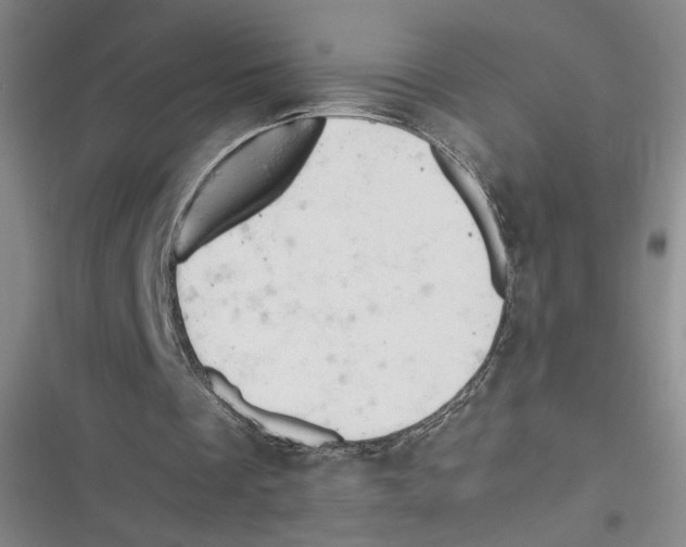 X0000116660289201001111256
