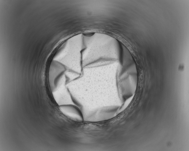 X0000116660290201001111256