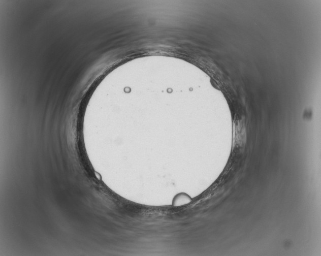 X0000116660291201001111256