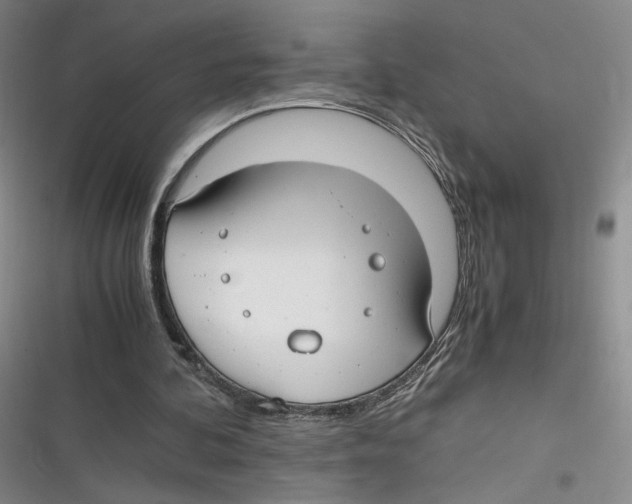 X0000116660292201001111256