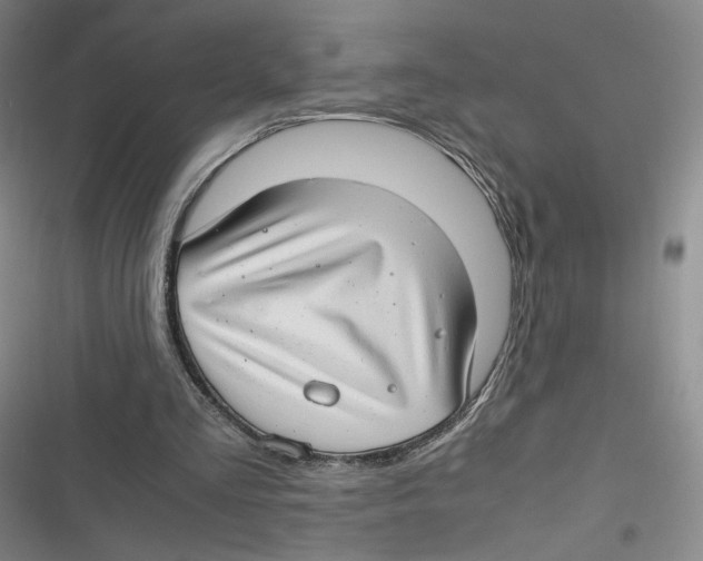 X0000116660293201001111256