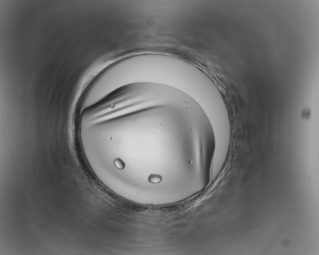 X0000116660294201001111256