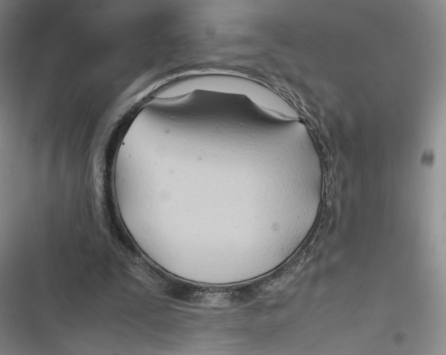 X0000116660295201001111256