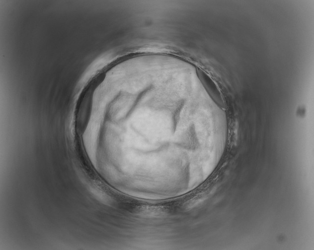 X0000116660296201001111256