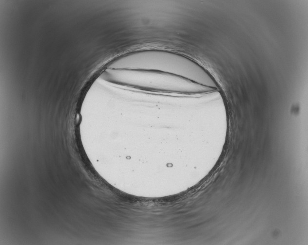 X0000116660297201001111255