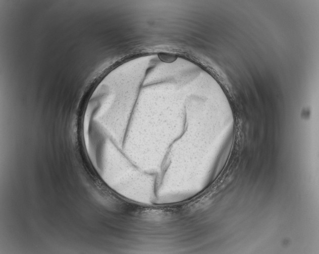 X0000116660298201001111255