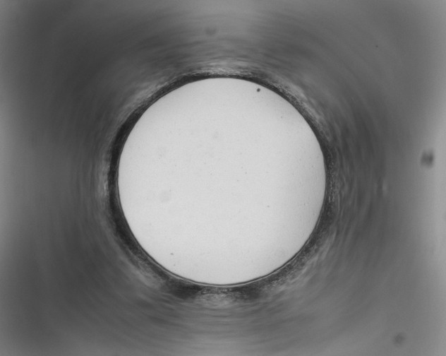 X0000116660299201001111255