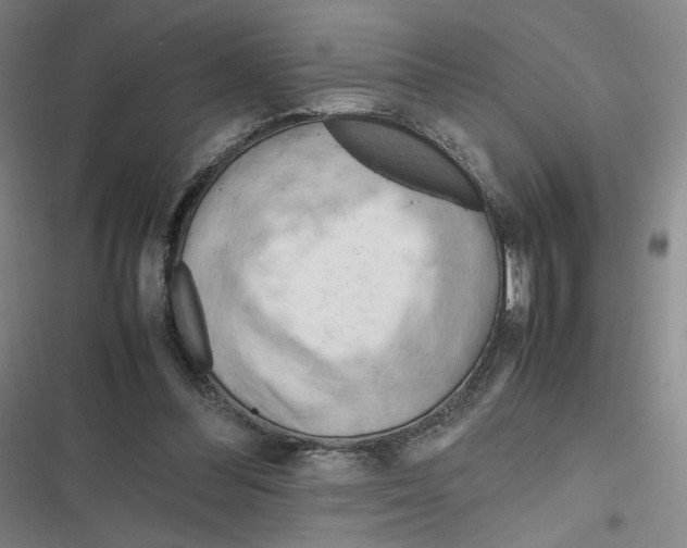 X0000116660300201001111255