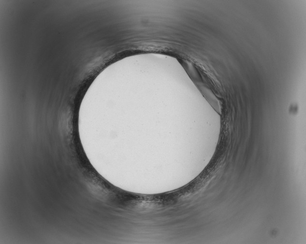 X0000116660303201001111255