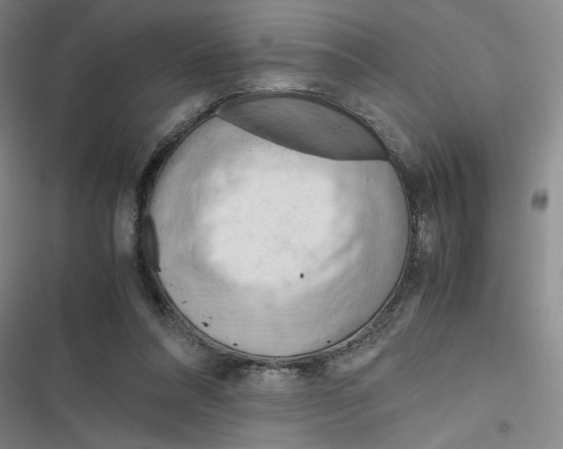 X0000116660304201001111255