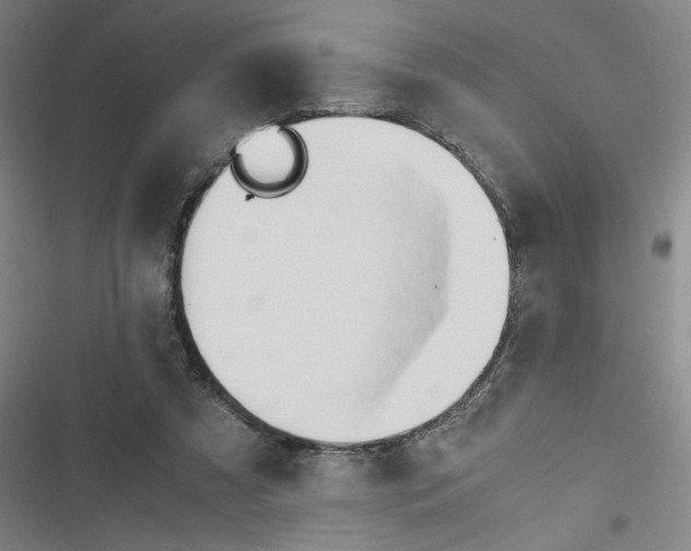 X0000116660305201001111255