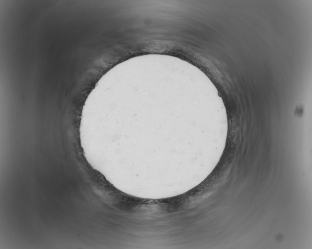 X0000116660307201001111255