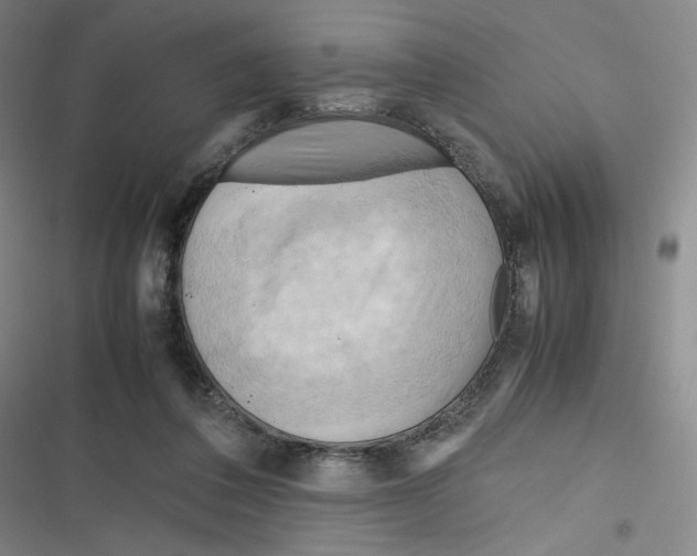 X0000116660308201001111255