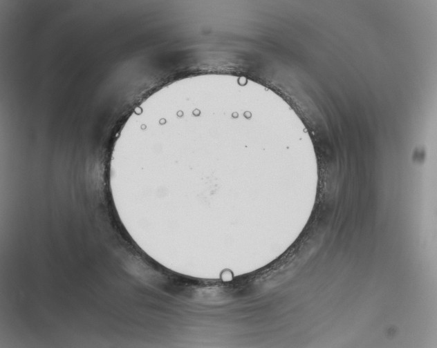 X0000116660309201001111255