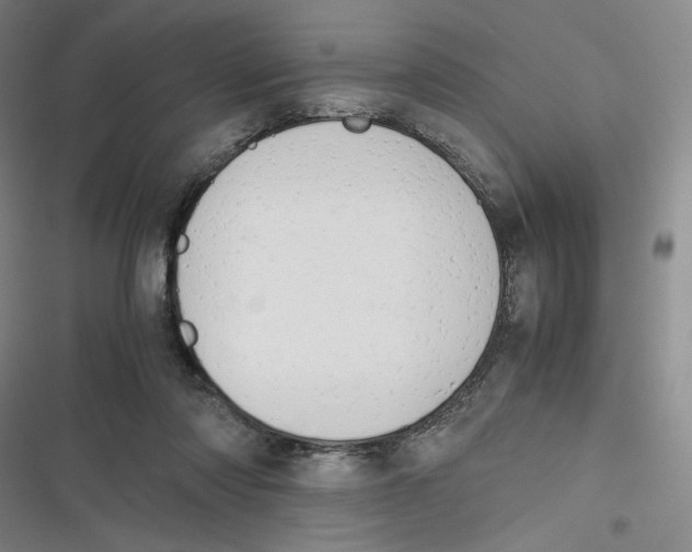 X0000116660310201001111255