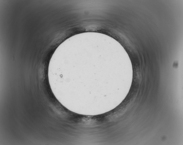 X0000116660311201001111255