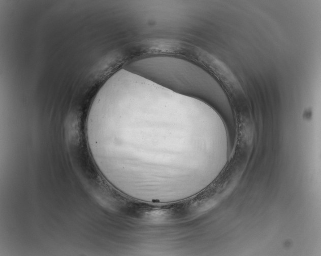 X0000116660312201001111255