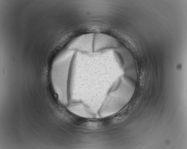 X0000116660314201001111255