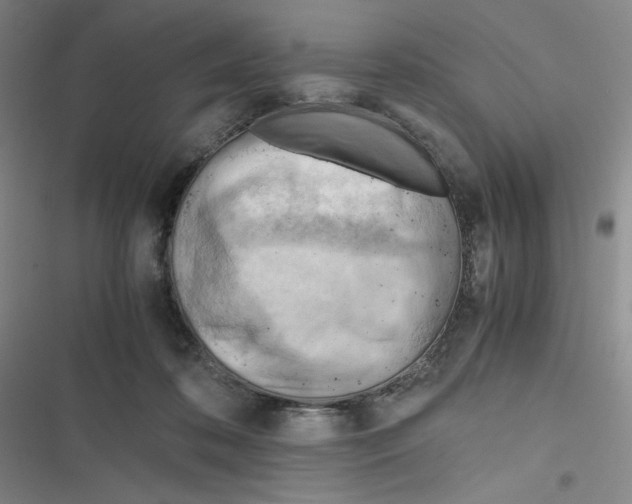 X0000116660316201001111255