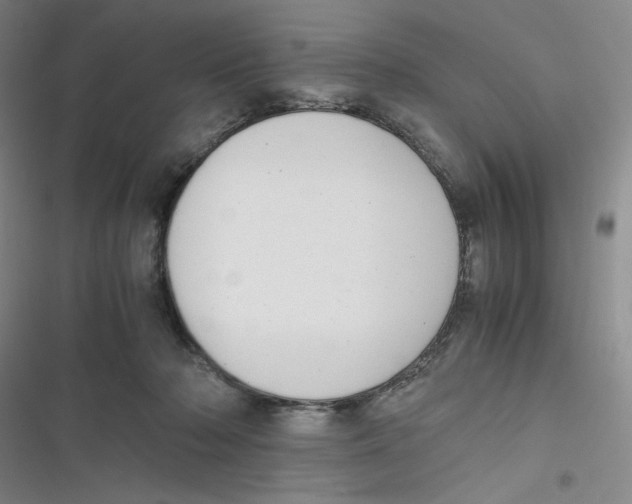 X0000116660318201001111255