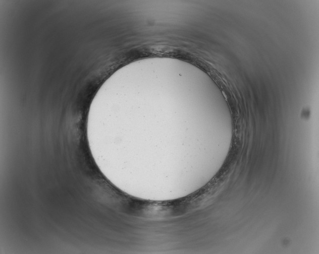 X0000116660319201001111255
