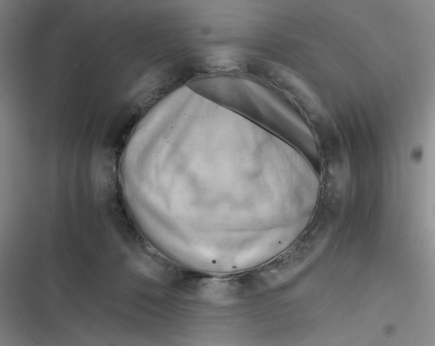 X0000116660320201001111255