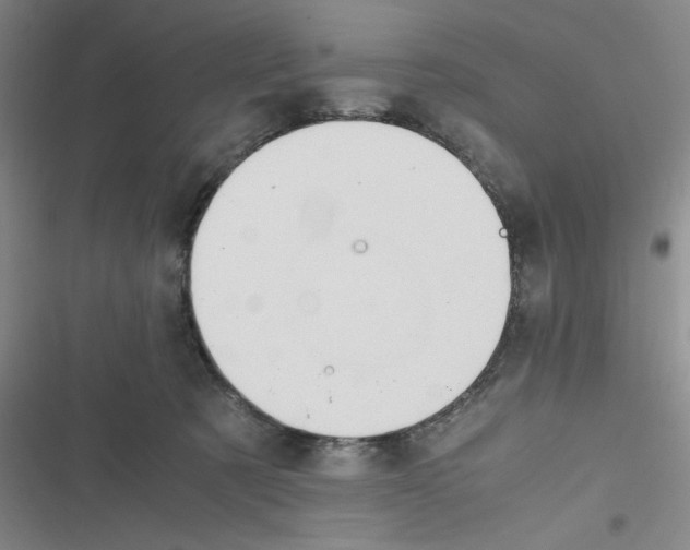 X0000116660321201001111255