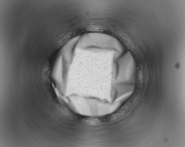 X0000116660322201001111255