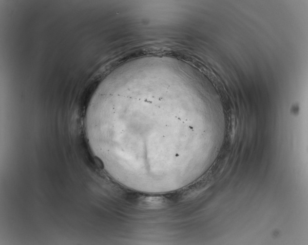 X0000116660324201001111255