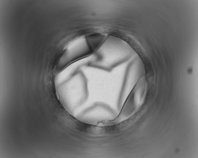 X0000116660325201001111255